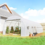 Serre de jardin tunnel 24m² 8L x 3l x 2H m - 16 fenêtres, Porte zippée enroulable acier galvanisé, bâche PE, Blanc