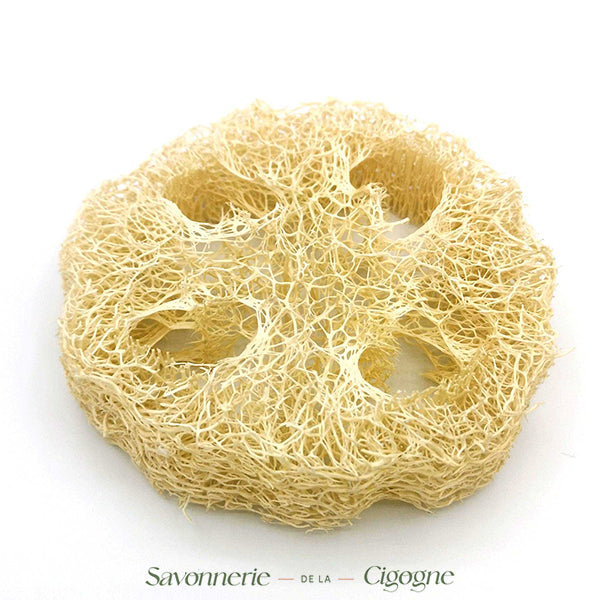Loofah