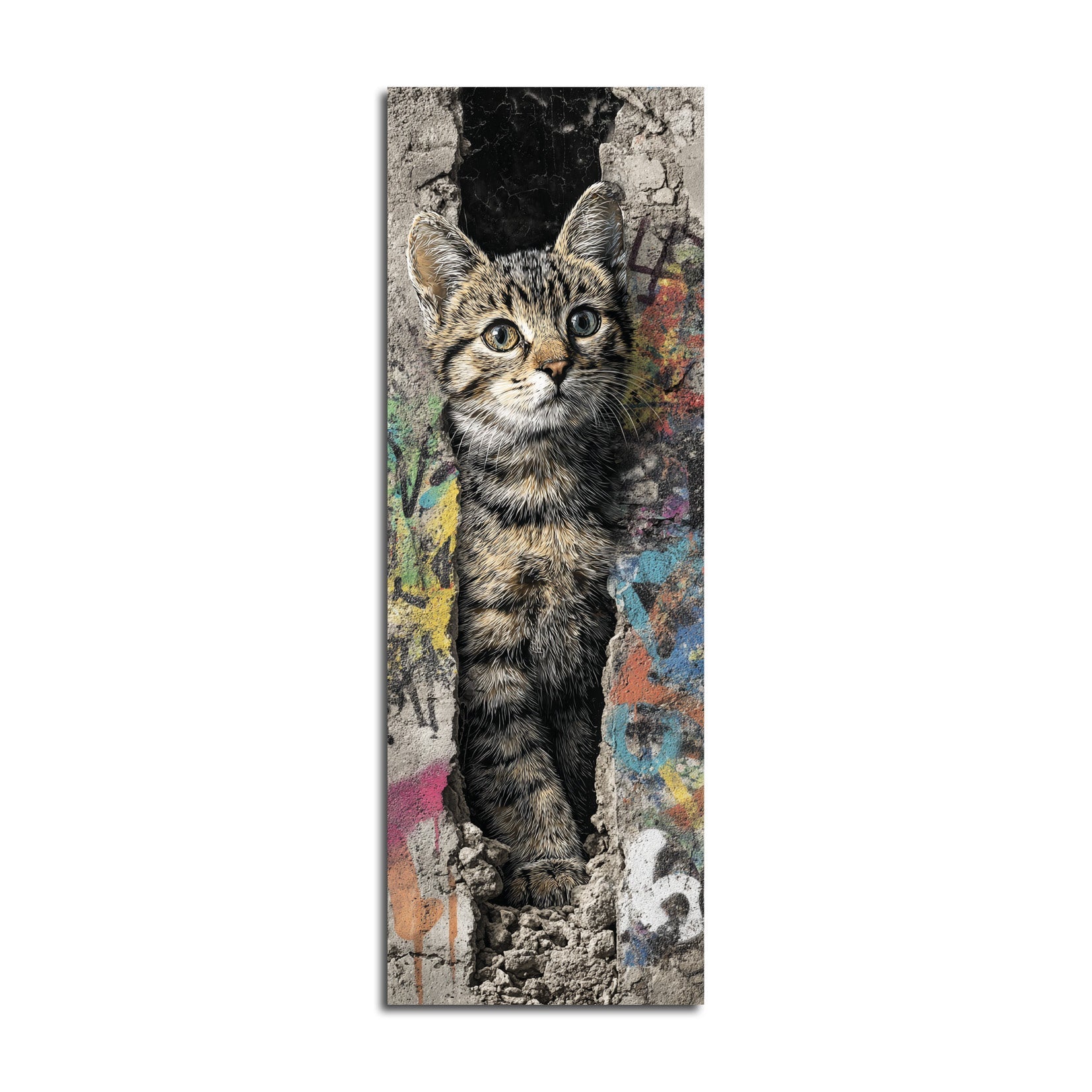 Street Cat Home | EPECHA03