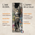 Street Cat Home | EPECHA03