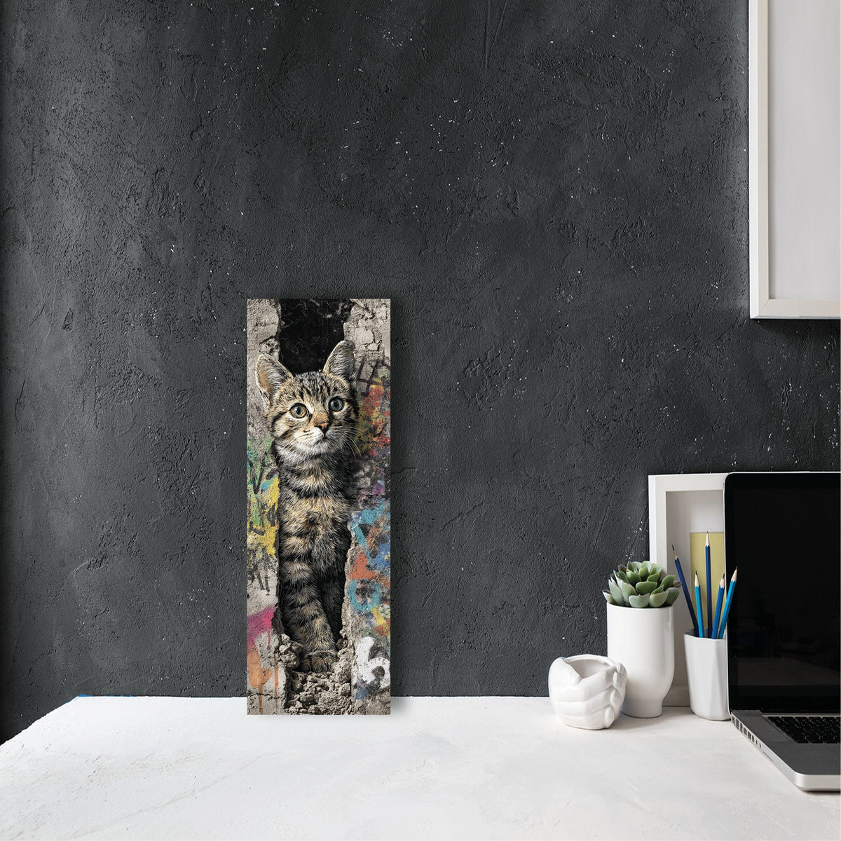 Street Cat Home | EPECHA03