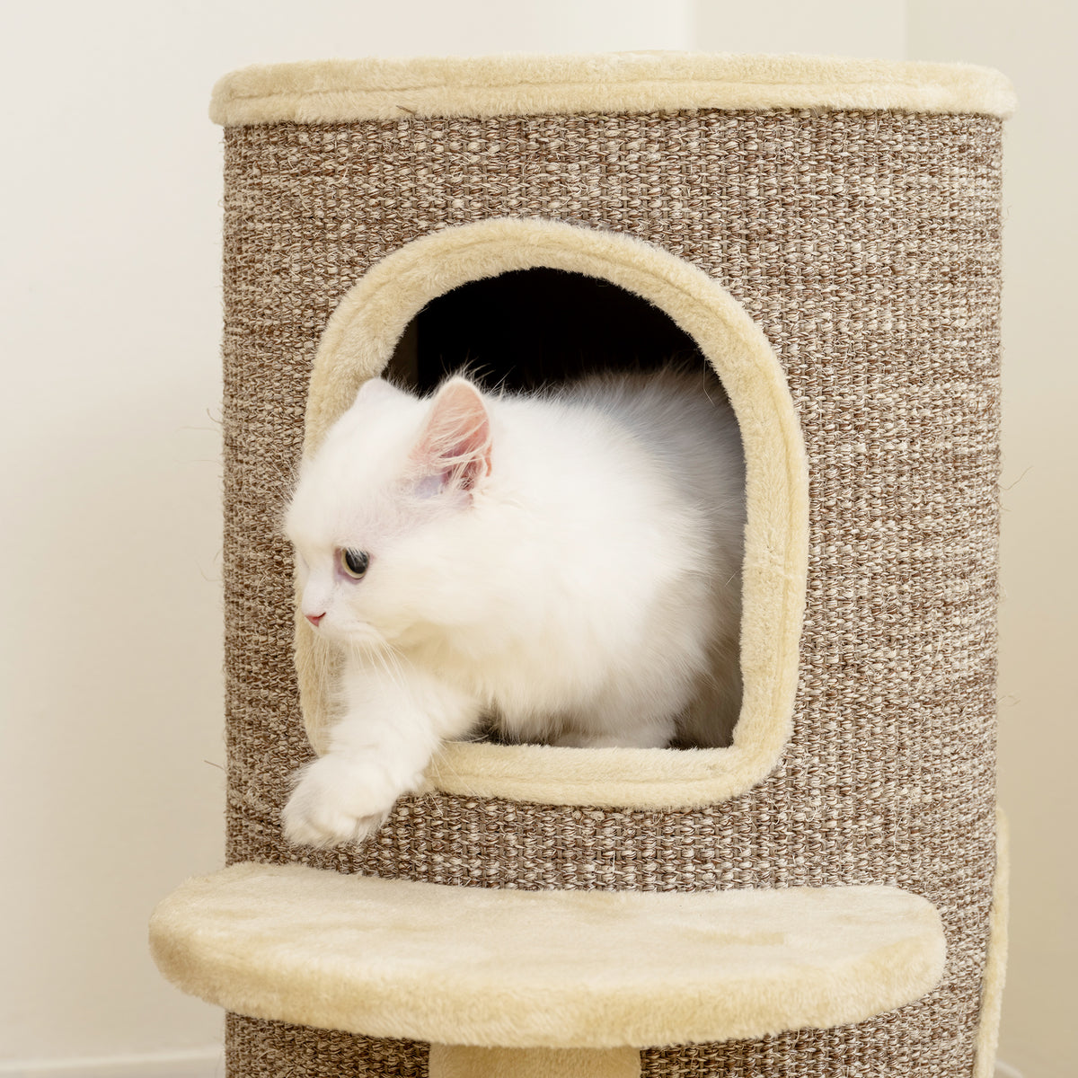 Tonneau à gratter tour à griffer pour chat 2 niveaux avec plate-forme parfait pour griffes & jeu 60 x 60 x 61 cm beige