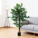 Plante artificielle ficus hauteur 1,50 m tronc branches liane lichen feuilles grand réalisme pot inclus vert