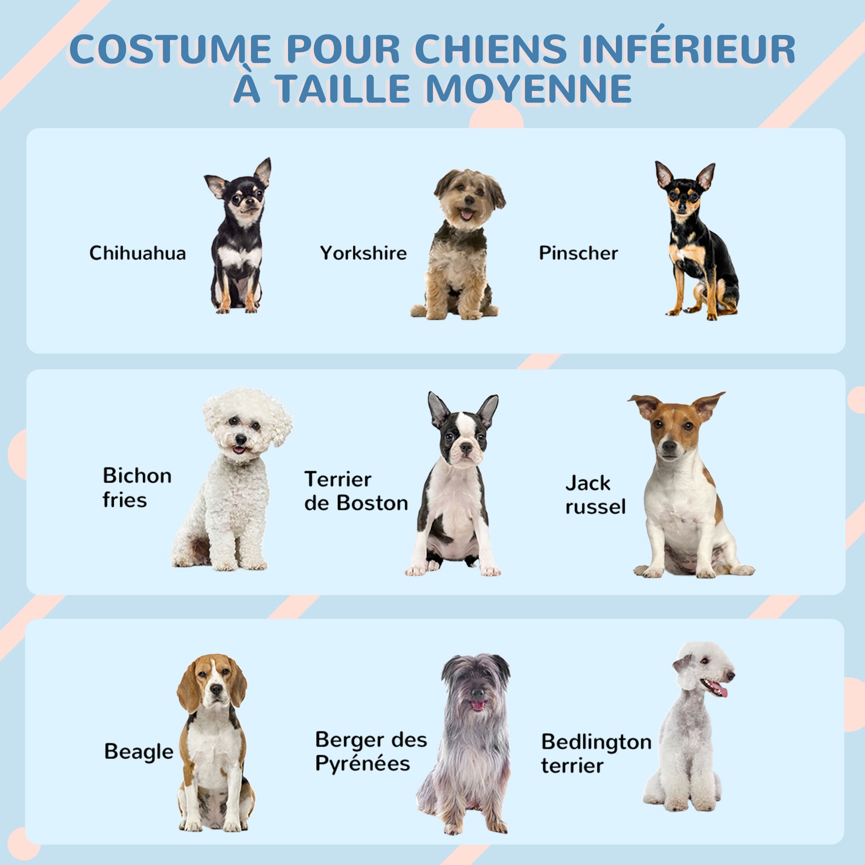 Niche pour chien chenil à l'extérieur en PP blanc pour chiens de petite et moyenne taille - 65 x 75,7 x 63 cm