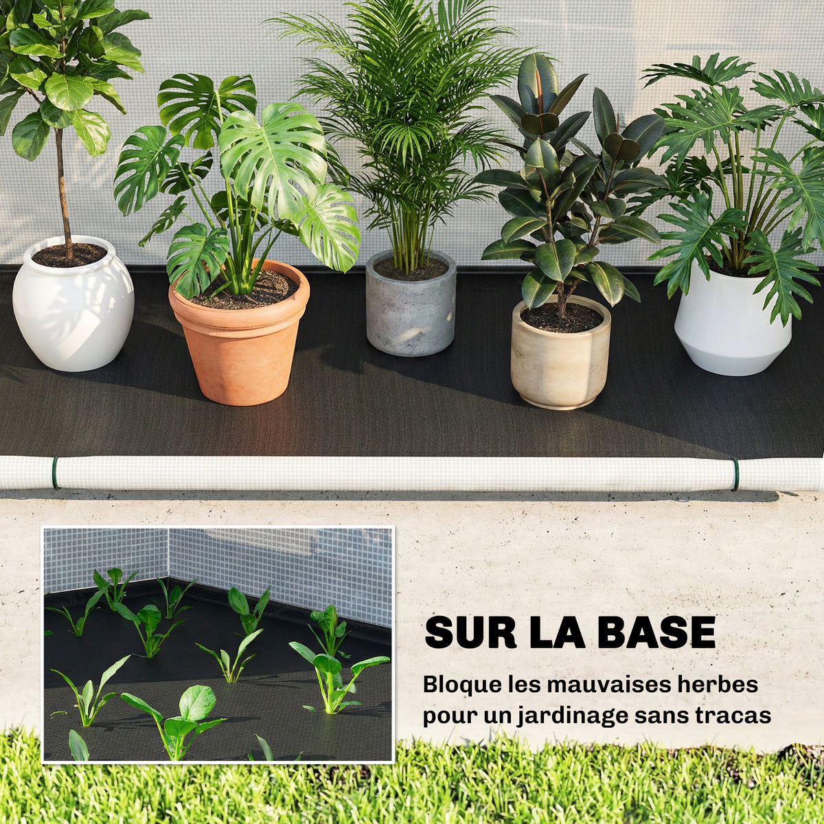 Serre de Jardin Pliable et Portable, Petite Serre de Balcon en Bâche PE et Porte Zippée, 200 x 80 x 164 cm, Vert