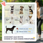 Poussette buggy pour chiens 77L x 45l x 99,5H cm pliable imperméable tissu 600D Oxford 4 roues gris