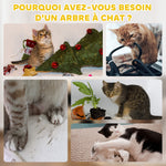 Tonneau à gratter pour chat arbre à chat sisal naturel et herbiers marins recouvert de peluche 35,5x35,5x49cm kaki café