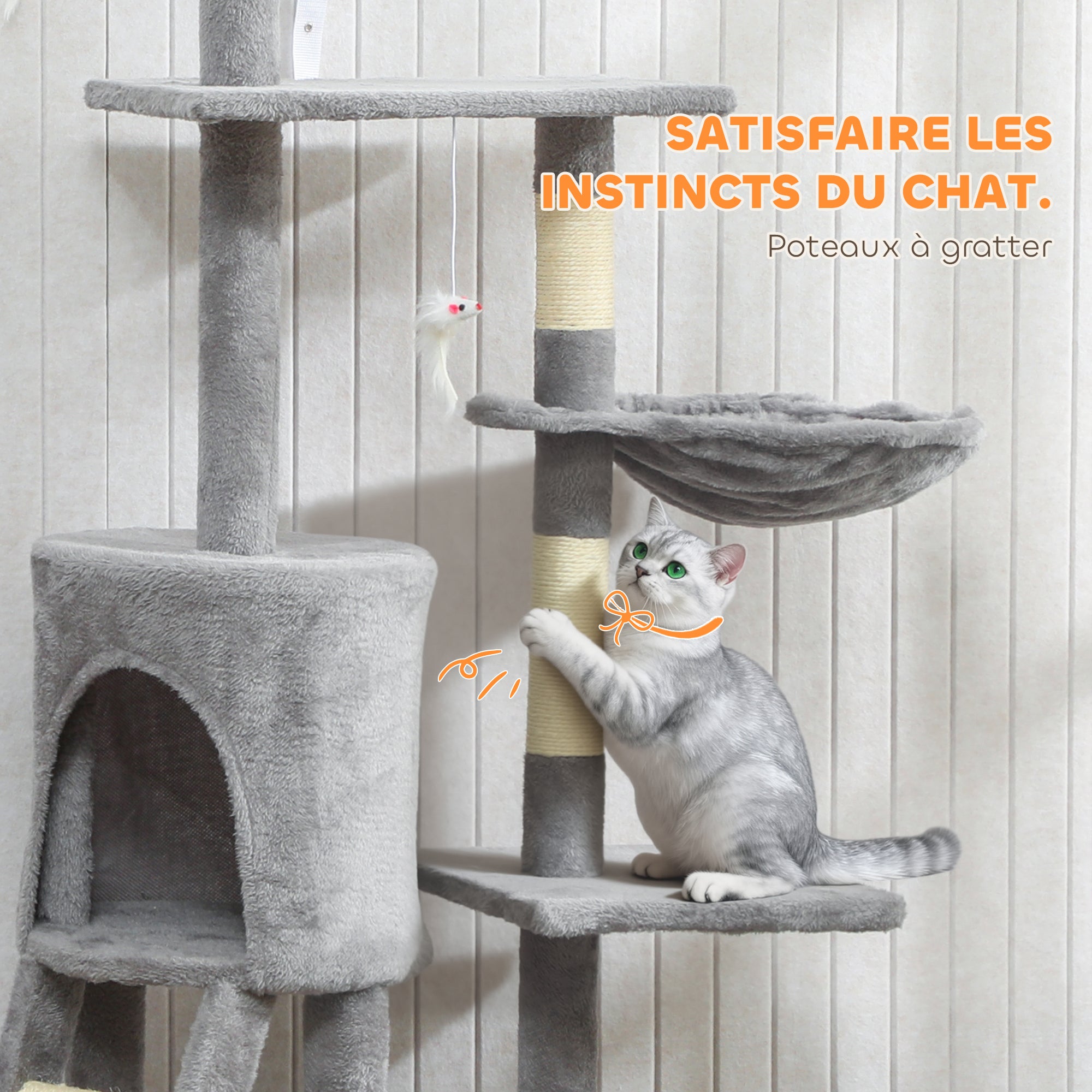 Texte alternatif de l'image