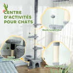 Arbre à chat du sol au plafond, tour à chat réglable en hauteur 225-255 cm à plusieurs niveaux, revêtement peluche, gris