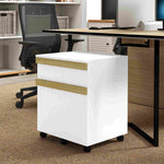 Caisson de bureau à roulettes avec 2 tiroirs coulissants trieur à dossiers 48 x 40 x 59,5 cm blanc