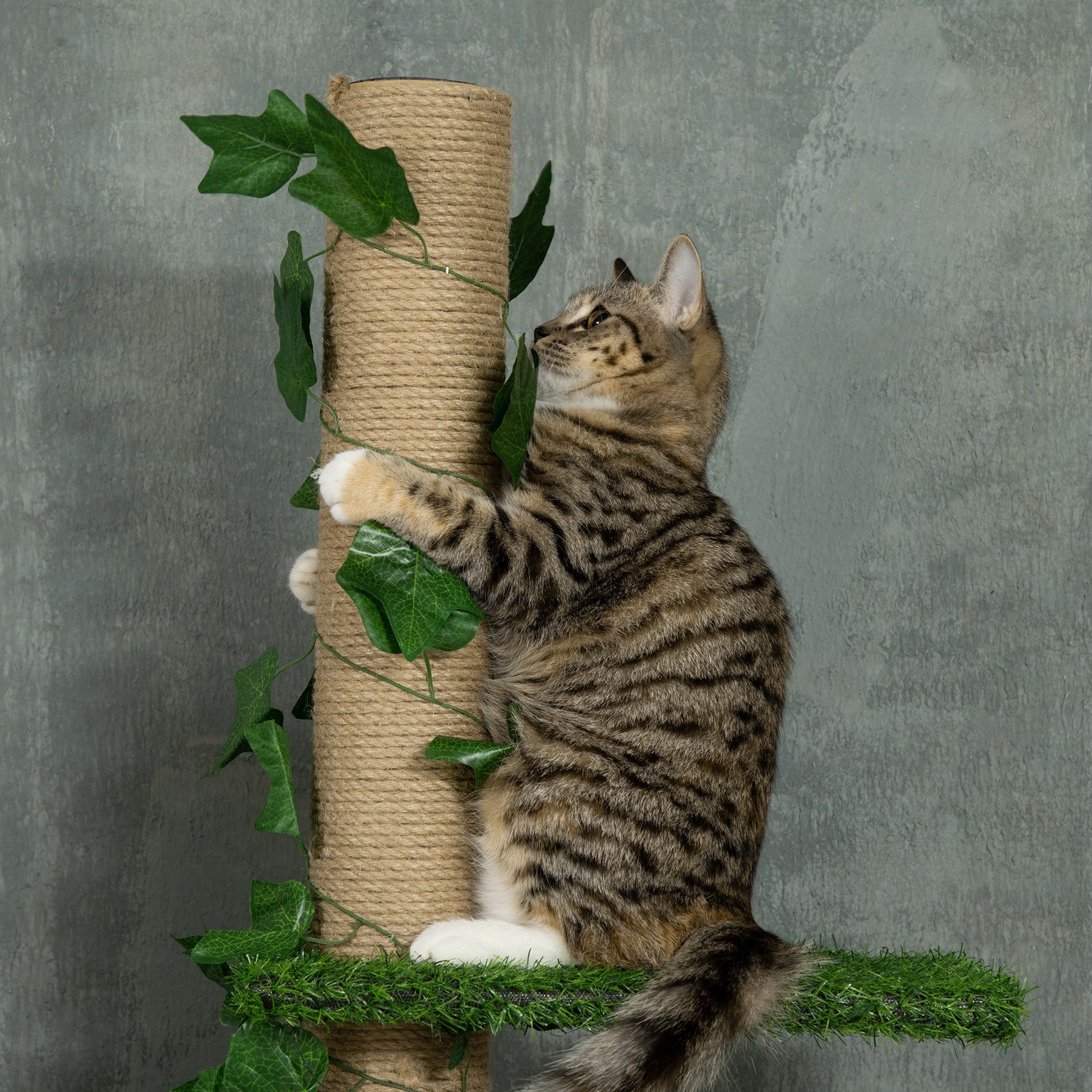 Arbre à chat poteau à griffer fixation plafond hauteur réglable 37 x 21 x 202- 242 cm 4 niveaux vert