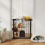 Cancelletto di sicurezza per animali con porta a chiusura automatica e sistema a doppia chiusura, acciaio nero