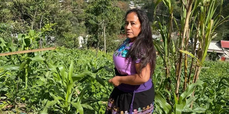 Mexique - Bella Vista - Chiapas - Café de Mujeres - Lavé