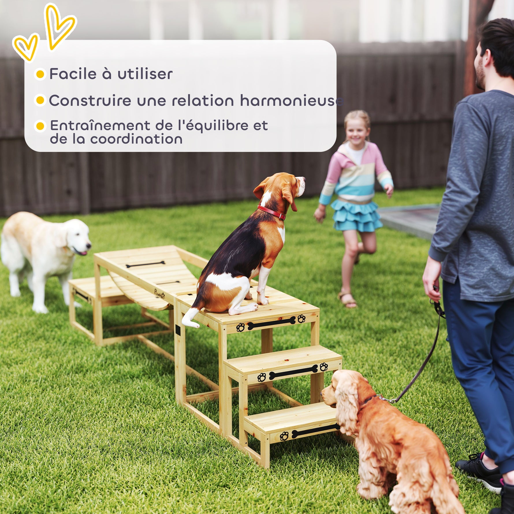 Équipements d'entraînement agilité pour chien kit d'équipement d'agilité pour chien 3 pièces en bois massif bois naturel