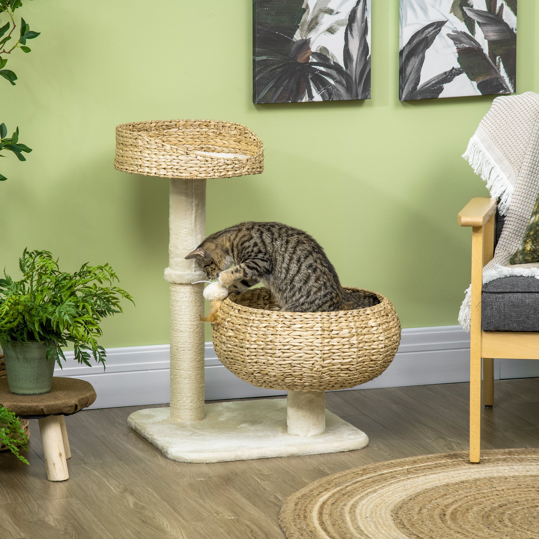 Arbre à chat griffoir 2 niveaux hauteur 72 cm poteau sisal avec niche et plateforme 1 balle suspendue