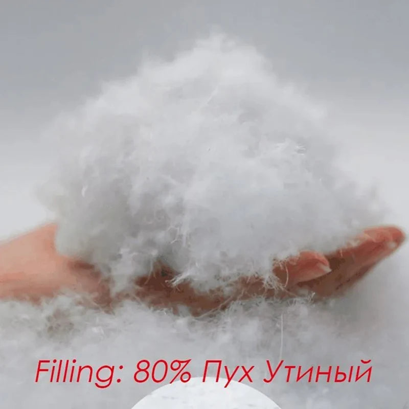 S53b860ebd6dc4c3a9d811ea9b733dd95S