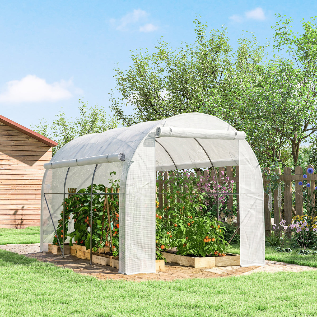 Serre de jardin 6 m² dim. 3 x 2 m avec 1 porte + 2 parois latérales zippées enroulables, 6 fenêtres, Blanc