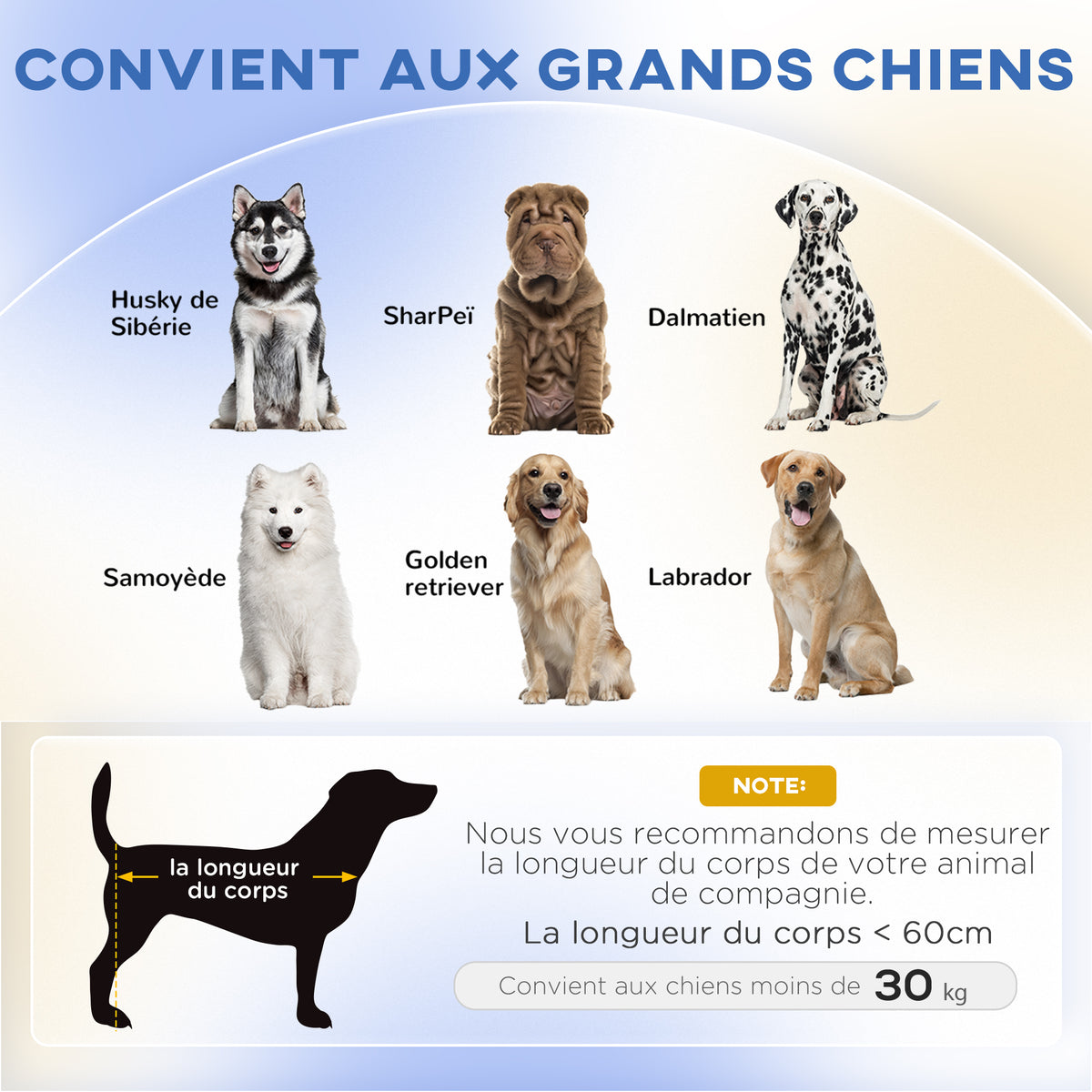 Canapé pour chien grand lit surélevé pour chien coussin lavable cadre en bois tissu polyester 98 x 67 x 25 cm vert clair