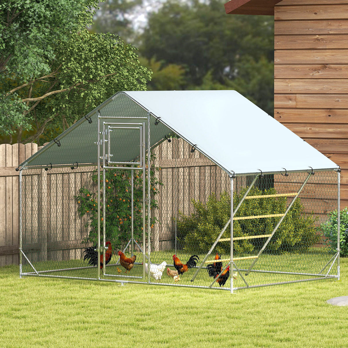 Buitenren voor kippen, omheind park van 6 m² met zitstok en voerbak, verzinkt staal Ø25mm 300x200x195cm zilver