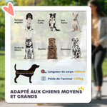 Poussette chien chariot pour chat 4 roues pliage en un clic laisse de sécurité charge 30 kg 112 x 67 x 100 cm gris foncé