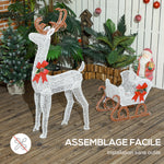 Renne et traîneau lumineux de Noël avec 170 LED blanc chaud, décoration de Noël pour intérieur et extérieur, 50x29x42cm
