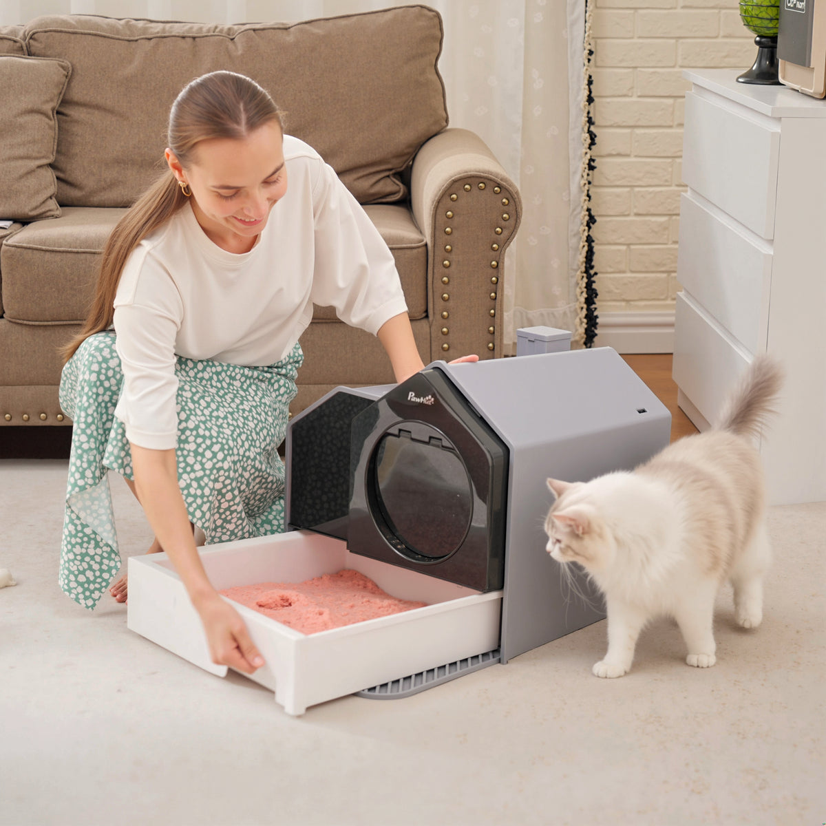Maison de toilette bac à litière pour chat design maisonnette avec pelle, filtre et tapis dim. 47L x 45l x 42H cm