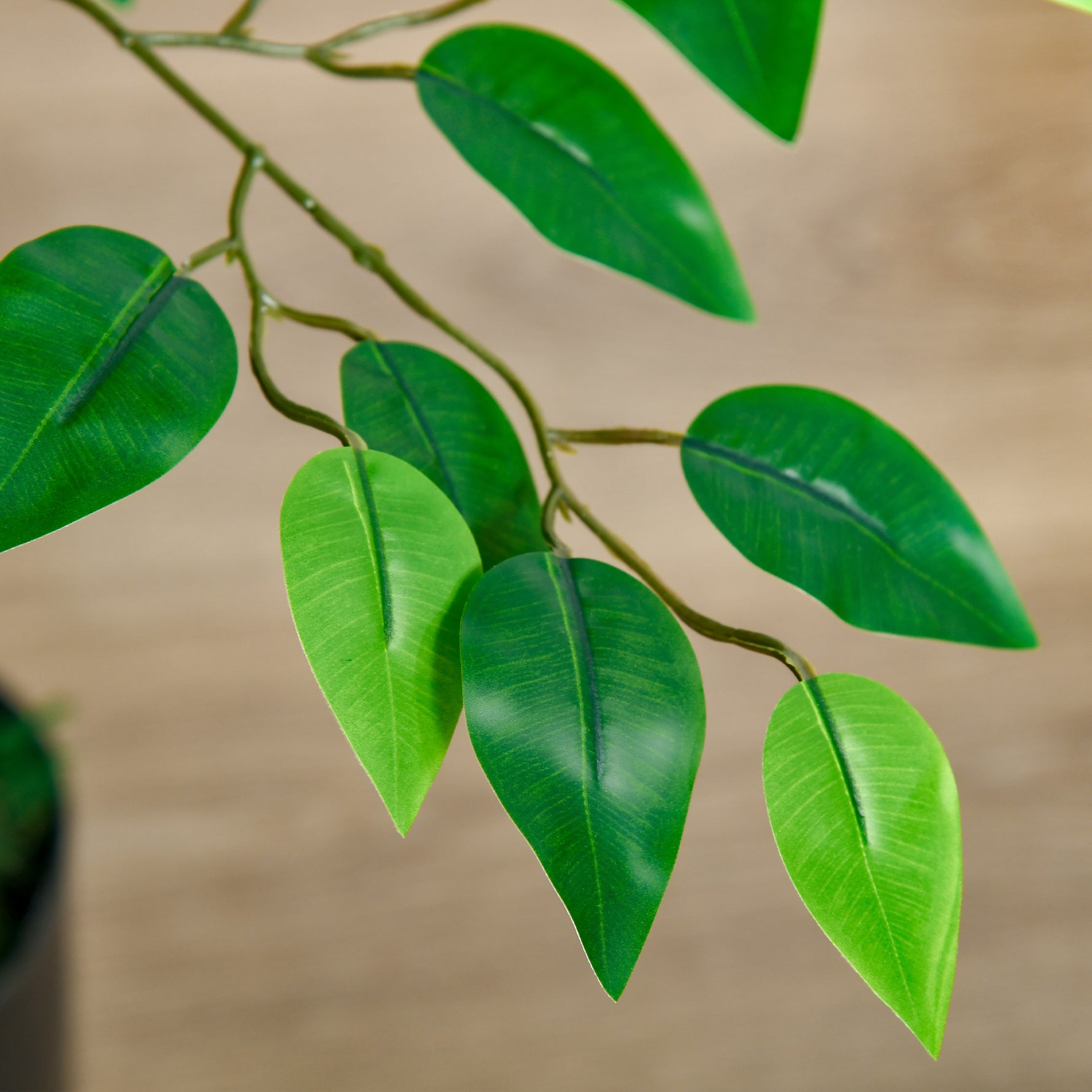 Arbre Artificiel Plante Artificielle ficus H.1,35 m Tronc Branches Liane Lichen Feuilles Grand réalisme Pot Inclus