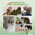 Arbre à chat du sol au plafond, tour à chat réglable en hauteur 225-255 cm à plusieurs niveaux, revêtement peluche, gris