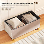 Panca contenitore fondo letto pieghevole volume 67 L capacità di carico 120 kg con coperchio 76L x 38P x 38A cm rosa