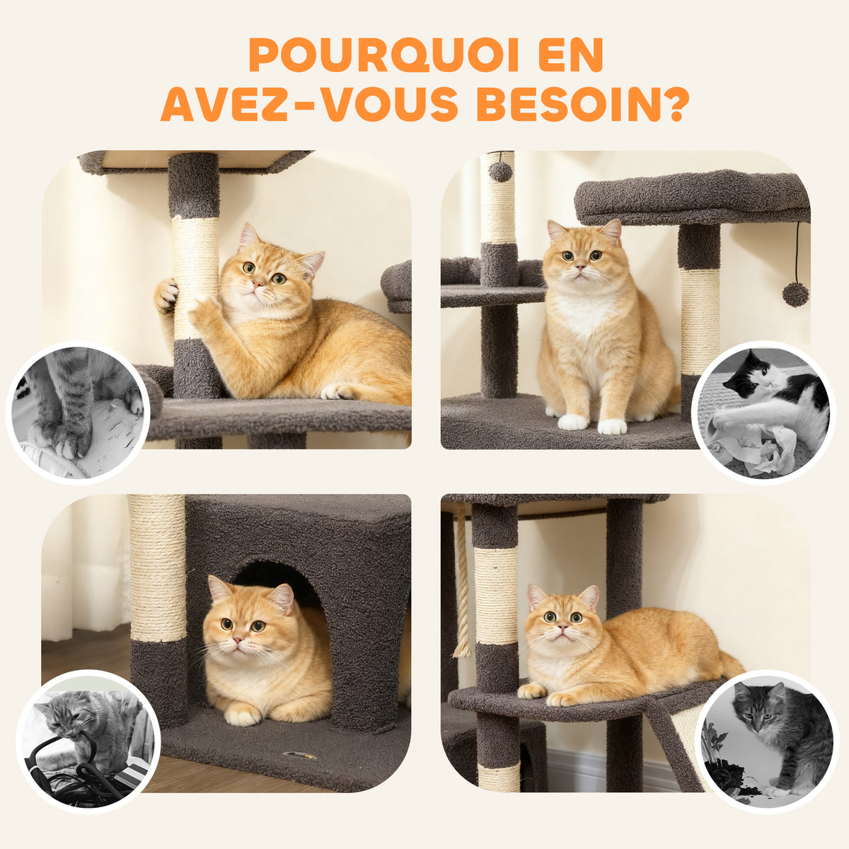 Arbre à chat tour de jeux pour chat avec griffoir 3 lits 2 niches plateformes et 3 jouets suspendus hauteur 174 cm gris