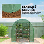 Serre de Jardin Tunnel 8 m² 4L x 2l x 1,9H m Acier galvanisé renforcé diamètre 2,4 cm + PE fenêtres Porte Vert