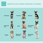 Bras de toilettage pliable pour animaux de compagnie en acier inoxydable avec collier de serrage pour chiens de grande et petite taille hauteur réglable max. 74 cm