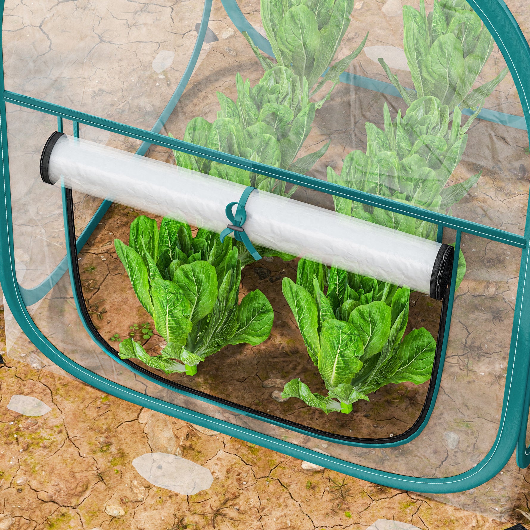 Mini serre de jardin, mini pop up serre en PVC transparent, pour intérieur ou extérieur, pour légume, 70 x 70 x 80 cm