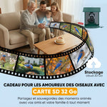 Mangeoire à Oiseaux avec Caméra 2K Solaire 2,5L 142°, Identification IA 16000+, App, IP65, SD 32 Go, 30x34,5x26,3cm Vert