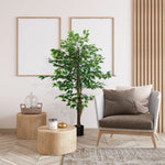 Plante artificielle ficus hauteur 1,50 m tronc branches liane lichen feuilles grand réalisme pot inclus vert