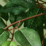 Arbre Artificiel Plante Artificiel ficus Hauteur 1,5 m Tronc Branches Liane Lichen Feuilles Grand réalisme Pot Inclus
