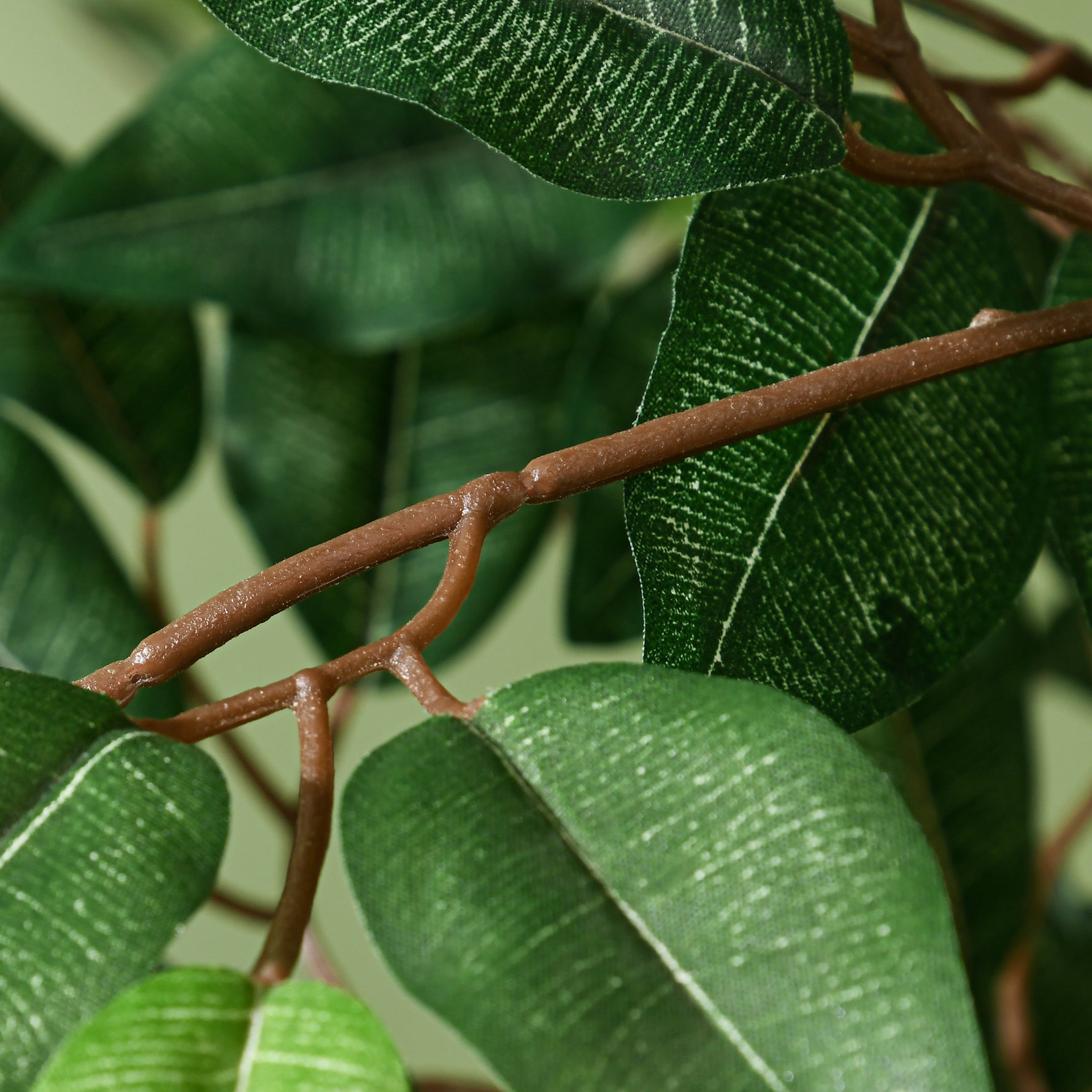Arbre Artificiel Plante Artificiel ficus Hauteur 1,5 m Tronc Branches Liane Lichen Feuilles Grand réalisme Pot Inclus