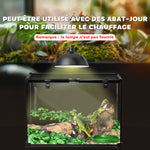 Boîte à reptiles boîte d'élevage de reptiles habitat de terrarium couvercle coulissant treillis métallique thermomètre