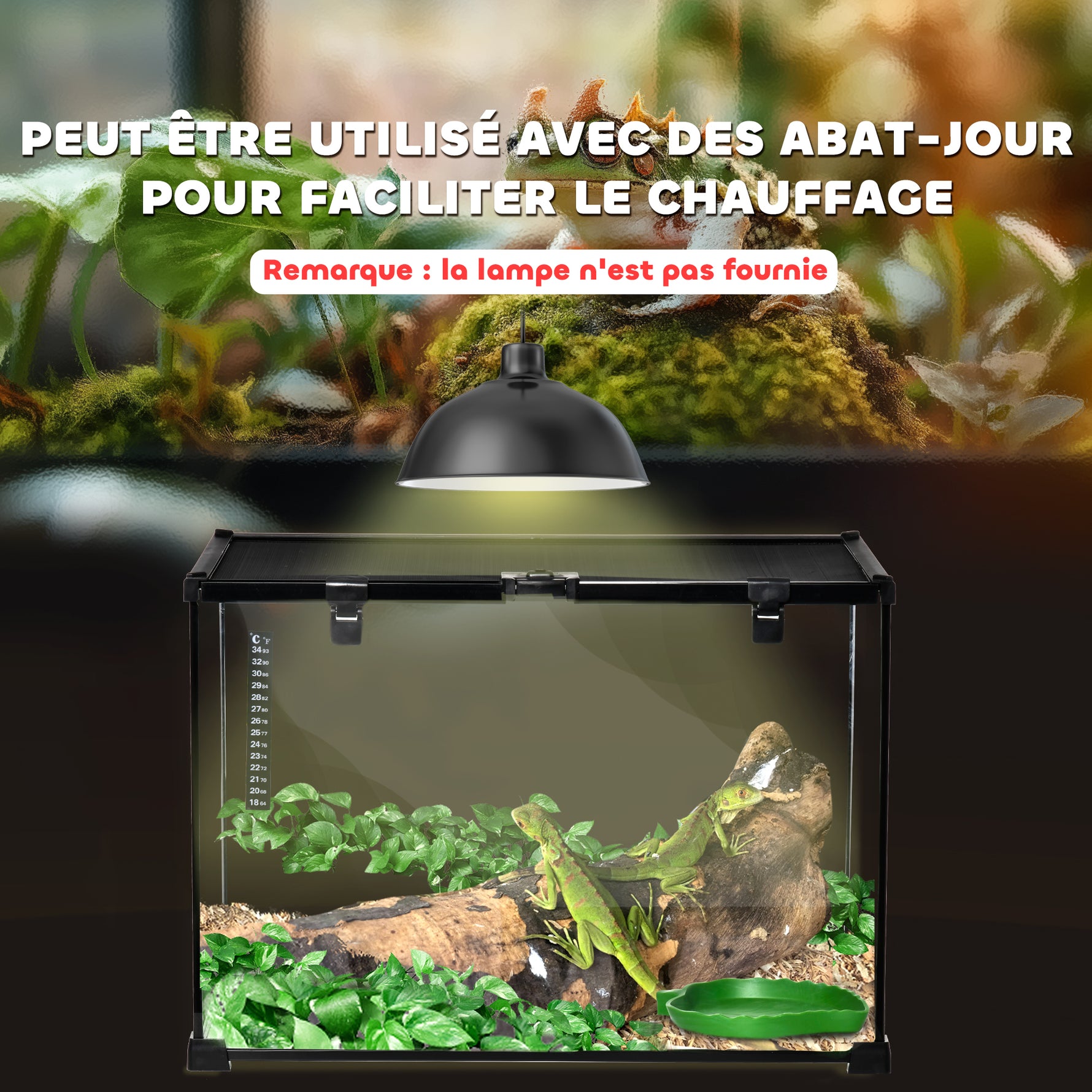 Boîte à reptiles boîte d'élevage de reptiles habitat de terrarium couvercle coulissant treillis métallique thermomètre
