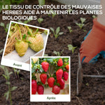 Toile de paillage géotextile de paillage contre les mauvais herbes 100 x 1 m résistant aux déchirures polypropylène noir