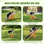Agility sport pour chien bascule - bascule pour chien - équipement entrainement chien - bois pré-huilé feutre