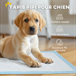 Lot de 80 tapis d'entraînement pour chien, étanche, 6 couches avec surface à séchage rapide, protection, 60 x 60 cm