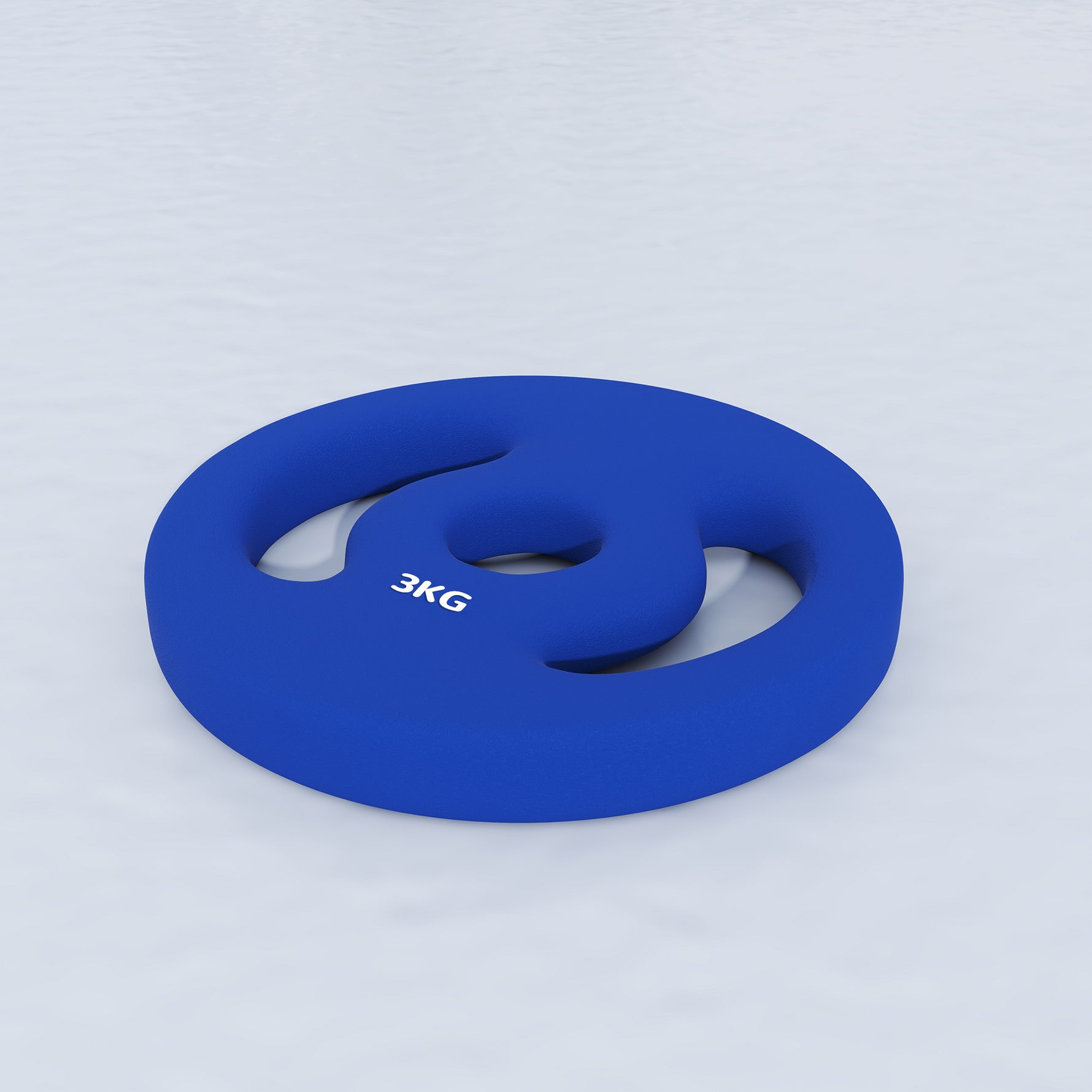 Lot de 2 plaques de poids 2 x 3 kg disques d'haltères pour barres Ø 2,5 cm avec poignées faciles à saisir en métal, bleu