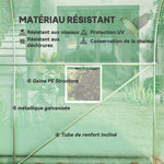 Serre tunnel de jardin 8m², serre de jardin tunnel avec 1 porte et 6 fenêtres, bâche PE 140g/m² 400x200x200cm vert