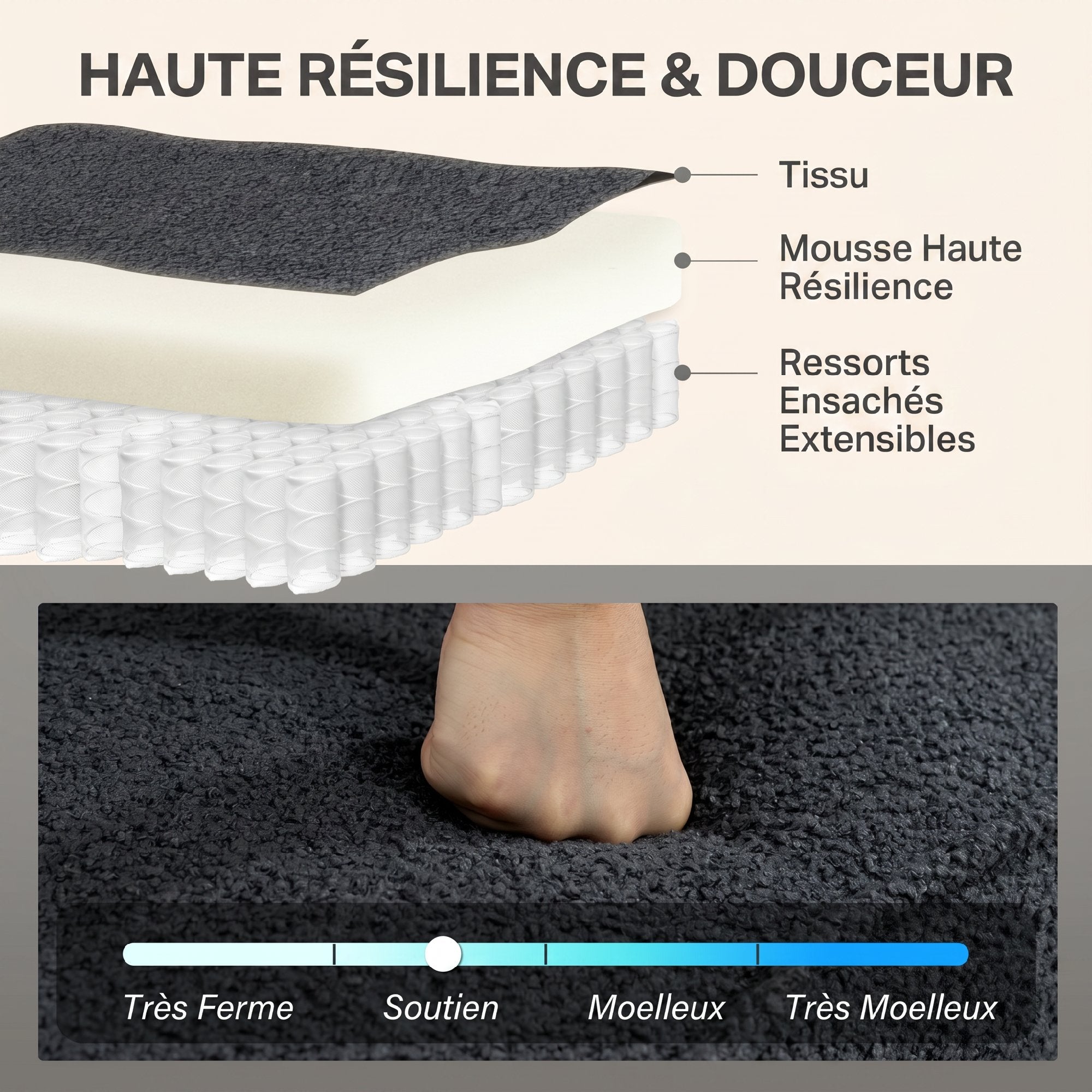 Texte alternatif de l'image