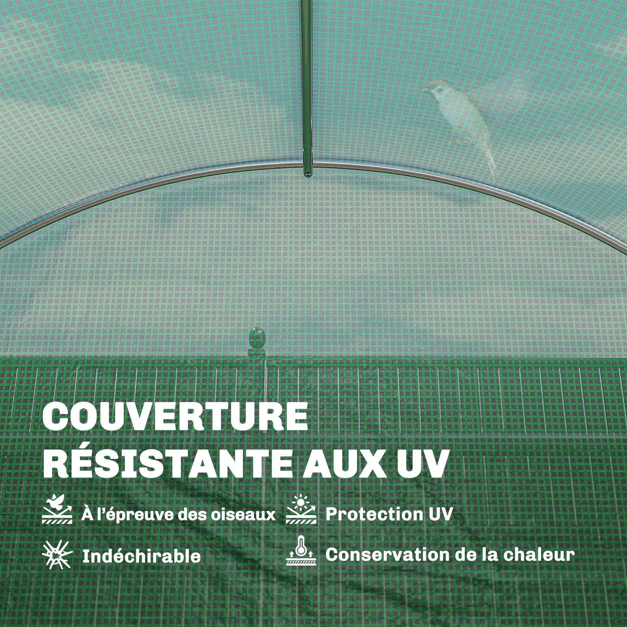 Texte alternatif de l'image