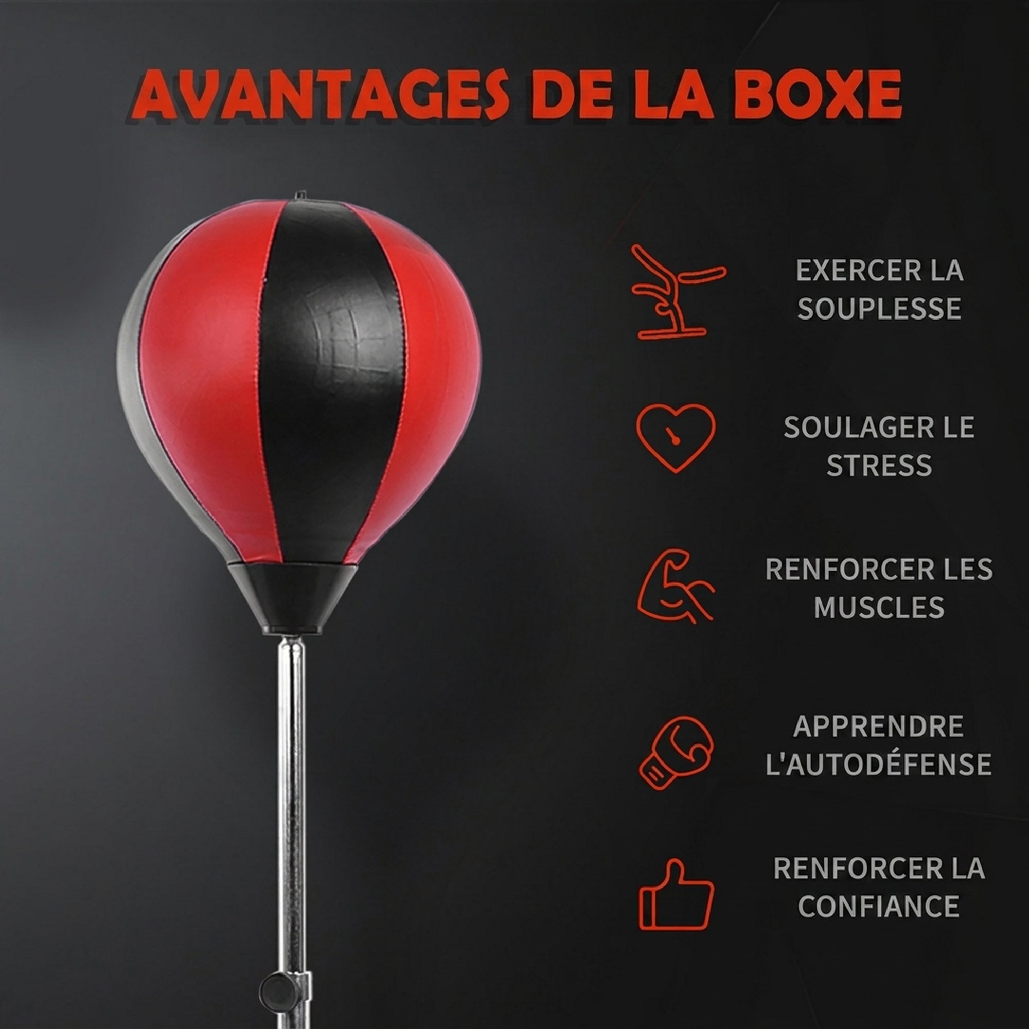 Texte alternatif de l'image