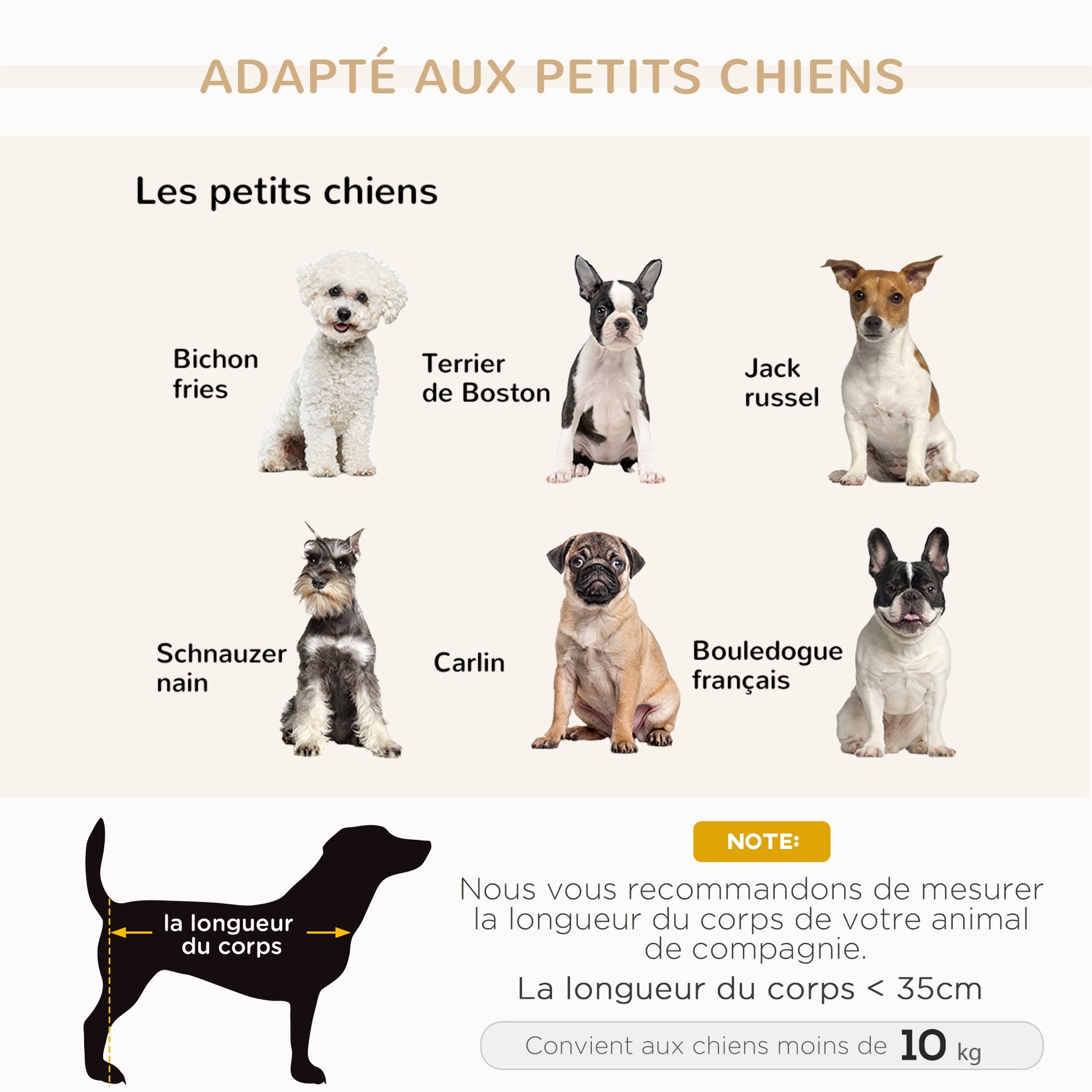 Canapé Chien Chat sur Pied avec Coffre de Rangement Style Moderne Coussin d'assise Amovible Grand Confort 76 x 45 x 43 cm gris clair