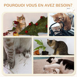 Arbre à chat parcours mural complet 4 pièces hamac, pompon, plateformes de saut, poteau en sisal et échelle peluche gris