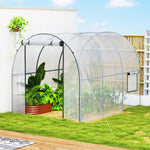 Serre de Jardin Tunnel 6 m² 3L x 2l x 2H m châssis Tubulaire renforcé Porte zippée 2 fenêtres enroulables - transparent